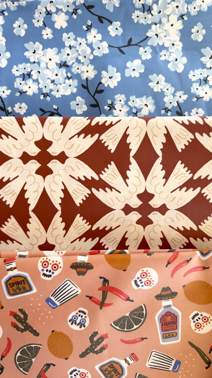 Skyward - Tanya Celia - Laminated Collective -Cloud9 Fabrics