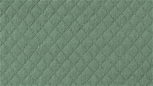 Quilted Double-Sided Cotton Jersey - European Import - Oeko-Tex® - Dark Old Green
