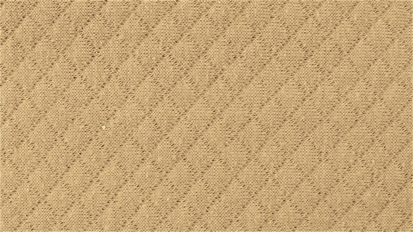 Quilted Double-Sided Cotton Jersey - European Import - Oeko-Tex® - Beige