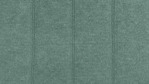 Double Gauze Jersey - European Import - Dark Old Green