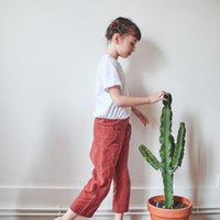 Marcel T-Shirts Pack Sewing Pattern - Boys 3/12Y - Ikatee
