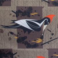 Ivory Billed Woodpecker -  Charley Harper Vanishing Birds - Birch Fabrics - Poplin